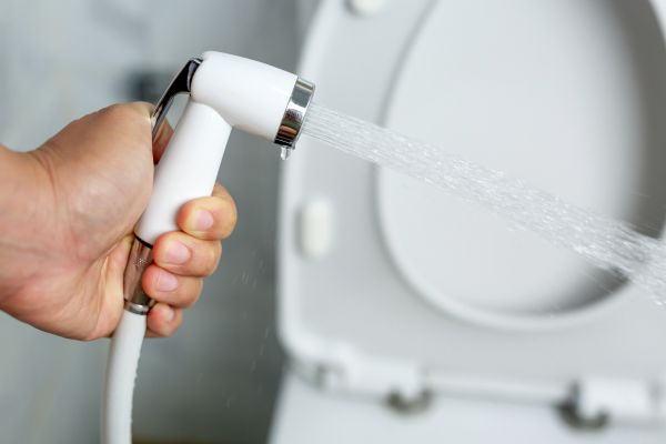 Bidet Installation in Palm Beach Gardens
