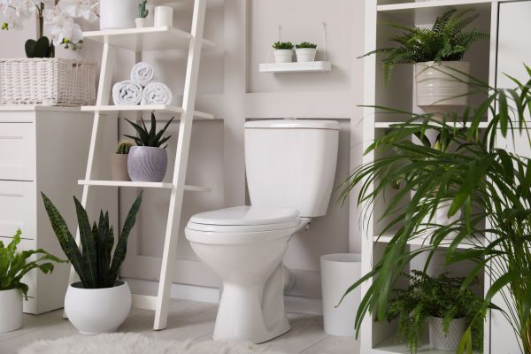 Cost of Toilet Repair in Palm Beach Gardens