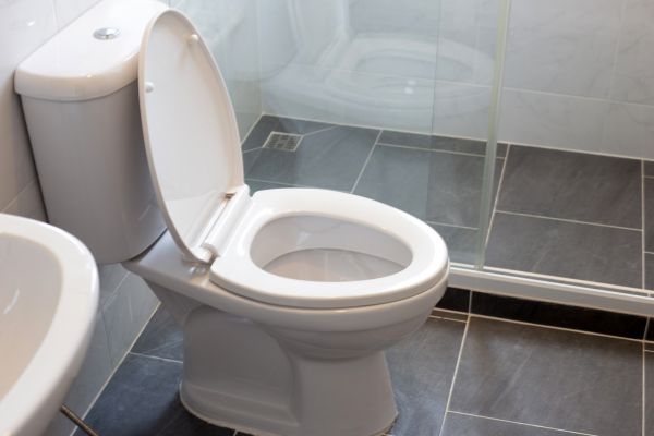 Toilet Replacement in Palm Beach Gardens