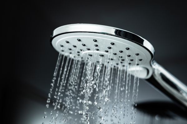 Cost of Shower Head Replacement in Palm Beach Gardens