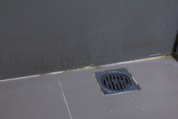 Bathroom Drain Installation in Palm Beach Gardens