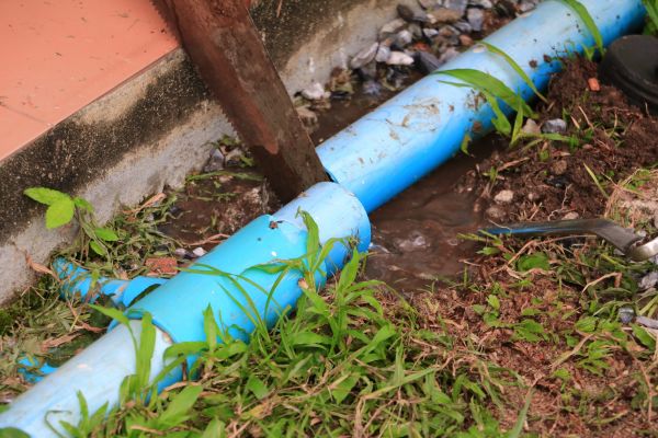 Cost of Broken Pipe Replacement in Palm Beach Gardens